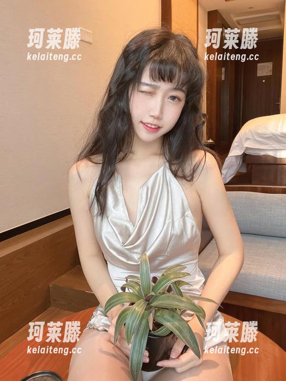 不呆猫与裤里丝的奇妙写真：你的新壁纸填充员